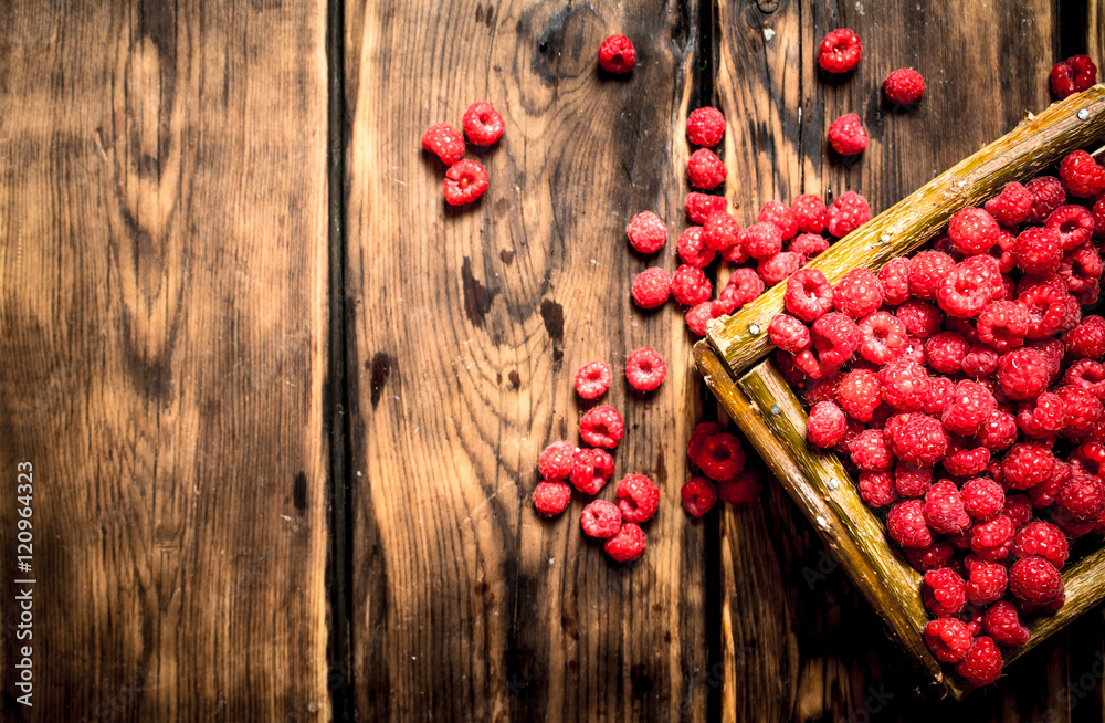 Wild raspberries in the basket. Wild raspberries in the basket.