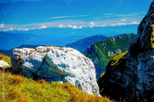 beautiful details of alpine mountain landscape on bright summer day.