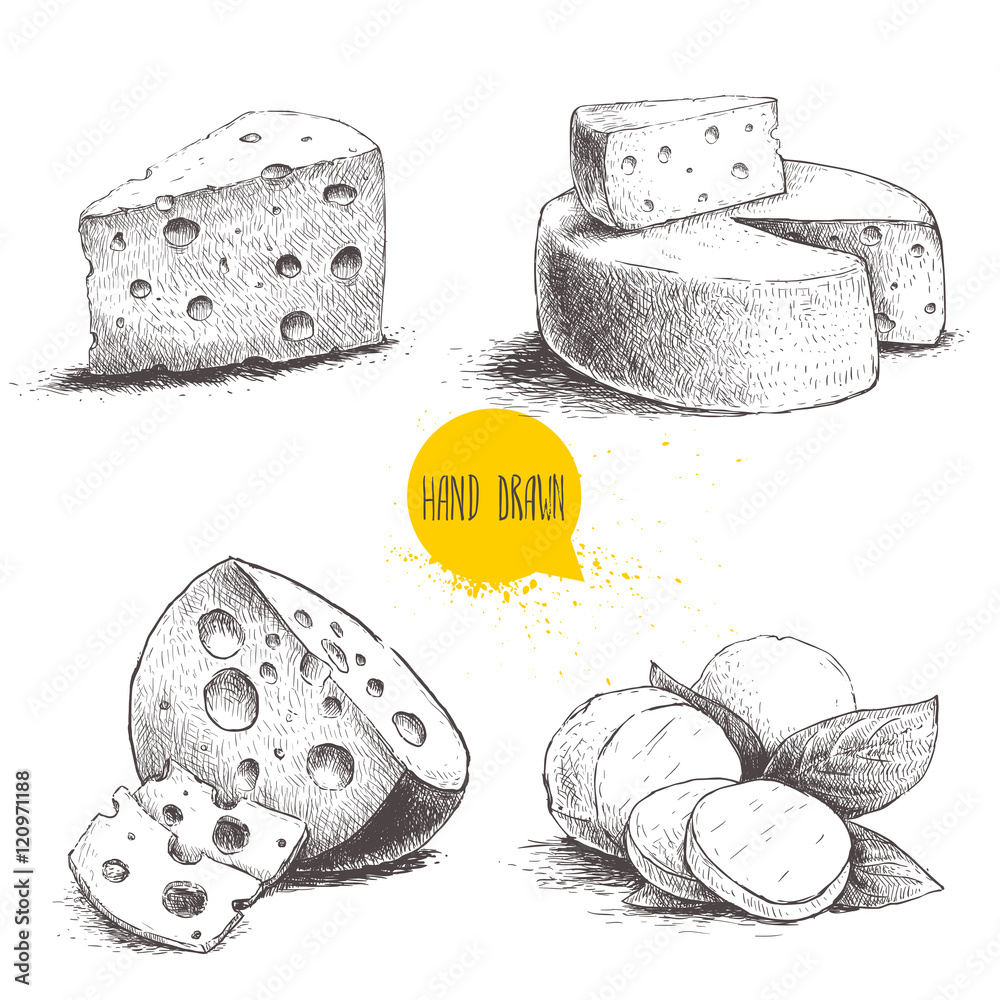 Hand drawn different type of cheese set. Edam, mozzarella cheese with