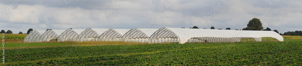 Panorama Foliengewächshaus für Obst- und Gemüseanbau Panorama Foliengewächshaus für Obst- und Gemüseanbau