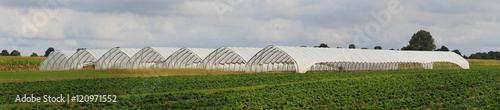 Panorama Foliengewächshaus für Obst- und Gemüseanbau © embeki