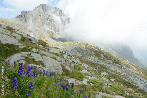 vette e fiori di montagna photo