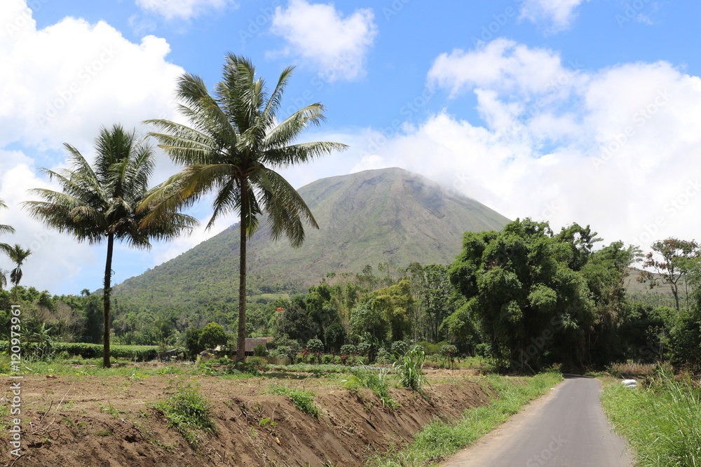 Paysage volcanique indonésien en Sulawesie Paysage volcanique indonésien en Sulawesie