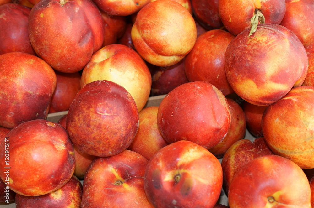 pesche noci dolci con buccia liscia pesche noci dolci con buccia liscia