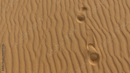 Impronte di piedi sulla duna di sabbia  granelli di sabbia  dune modellate dal vento  Corralejo  parco naturale. Fuerteventura. Isole Canarie  Spagna