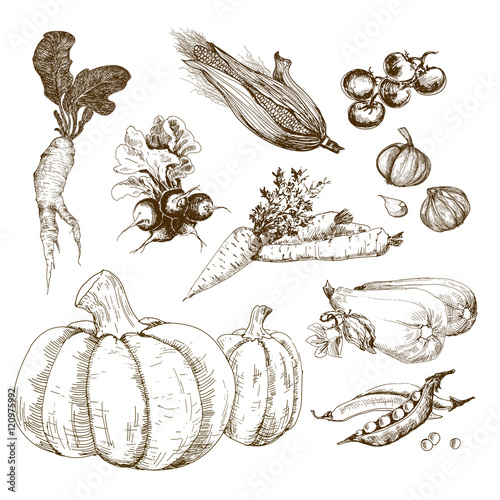 Vegetables collection