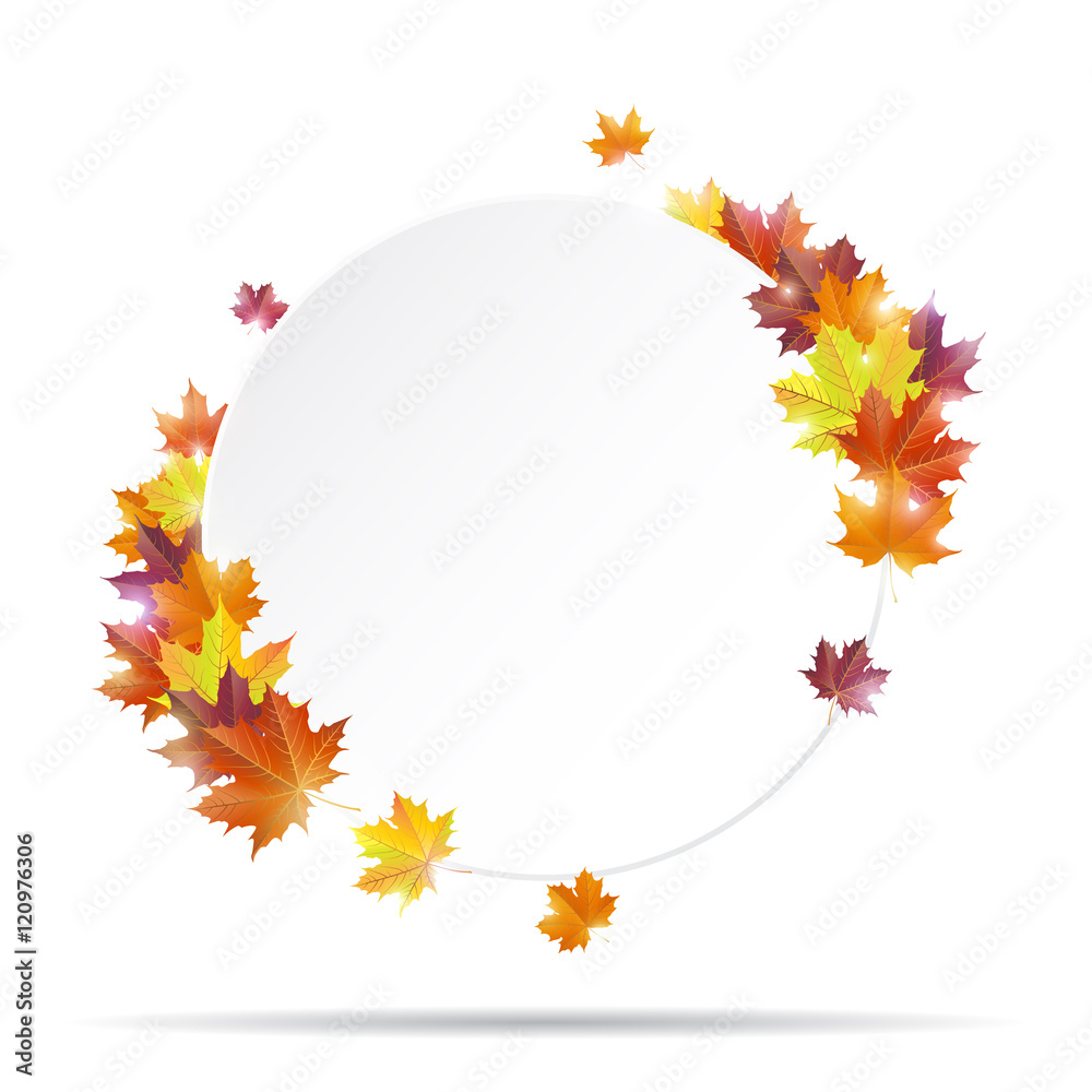 White round paper banner with vivid autumn maple leaves. Vector illustration.