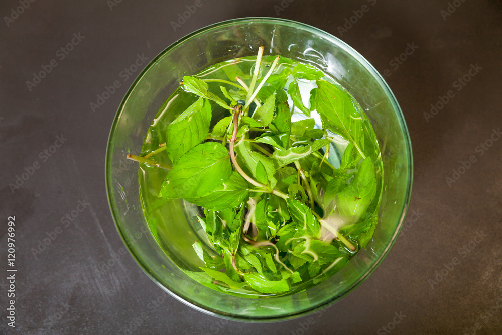 Mint in the plate Mint in the plate
