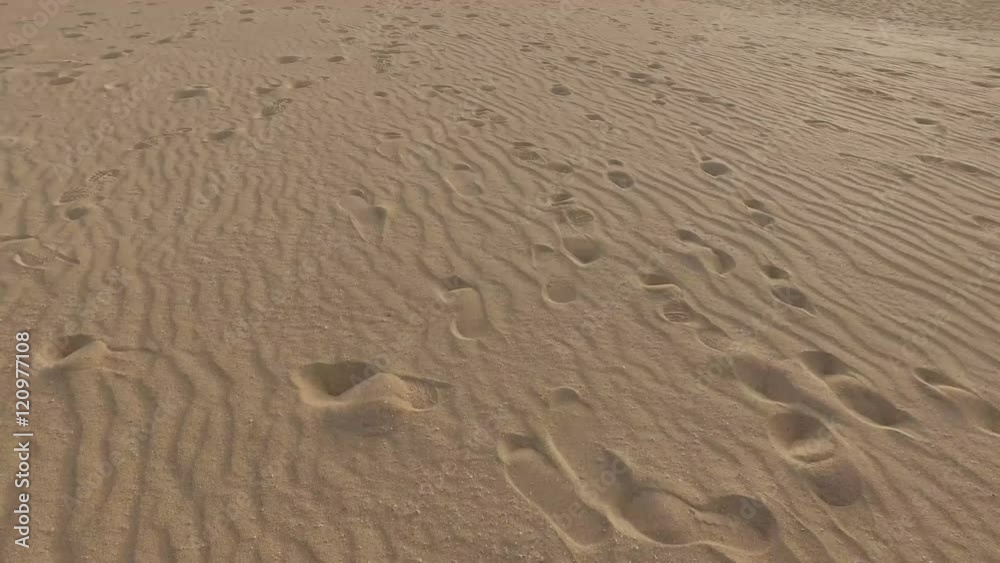 Sabbia del deserto e dune, granelli di sabbia, dune modellate dal vento, Corralejo, parco naturale. Tramonto. Fuerteventura. Isole Canarie (Ultra High Definition, 4K, 2160P, 3840x2160) Sabbia del deserto e dune, granelli di sabbia, dune modellate dal vento, Corralejo, parco naturale. Tramonto. Fuerteventura. Isole Canarie (Ultra High Definition, 4K, 2160P, 3840x2160)