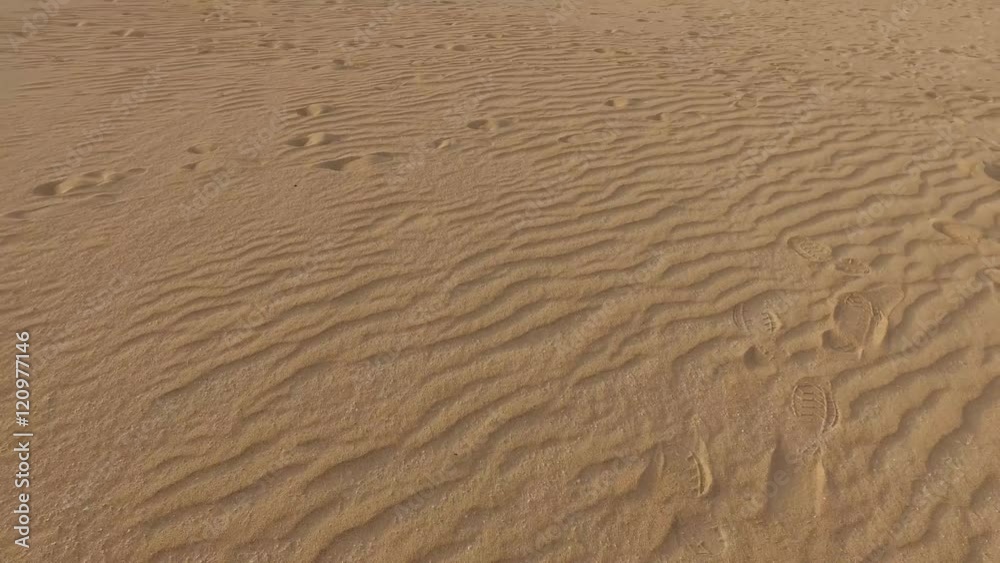 Sabbia del deserto e dune, granelli di sabbia, dune modellate dal vento, Corralejo, parco naturale. Tramonto. Fuerteventura. Isole Canarie (Ultra High Definition, 4K, 2160P, 3840x2160) Sabbia del deserto e dune, granelli di sabbia, dune modellate dal vento, Corralejo, parco naturale. Tramonto. Fuerteventura. Isole Canarie (Ultra High Definition, 4K, 2160P, 3840x2160)