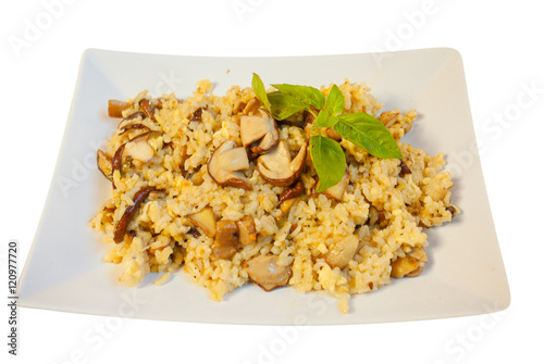  hot risotto with mushrooms on white plate on white background photo
