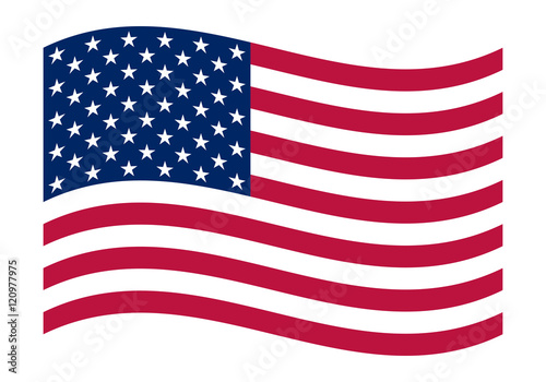 National political official US flag