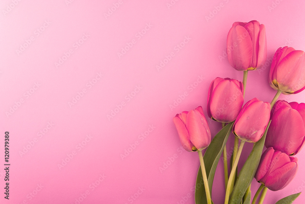 Fototapeta premium Bouquet of pink tulips with space for greeting message. Mother's