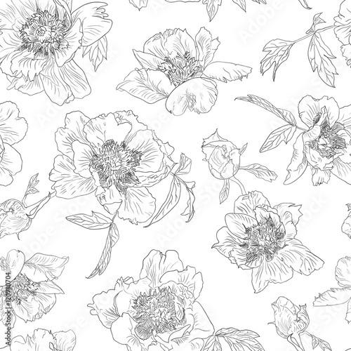 Seamless pattern outline flowers peony, black white background. Peonies monochrome.