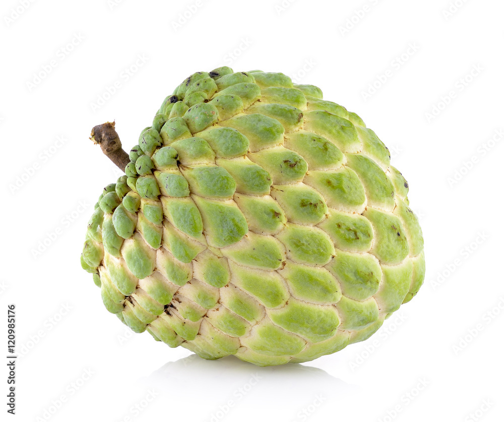 Obraz premium custardapple on white background