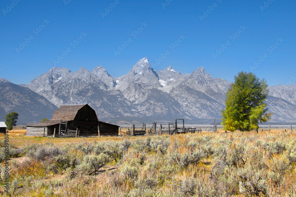 Old Mormon barn in Grand Tetons