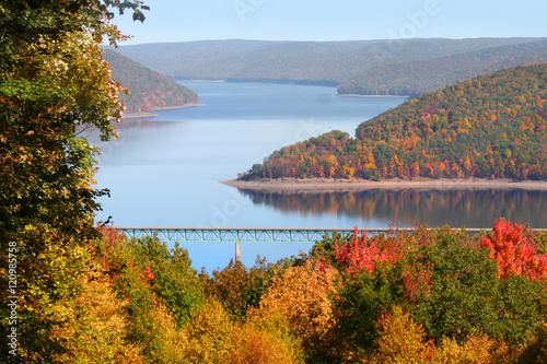 Fall foliage in Allegheny national forest