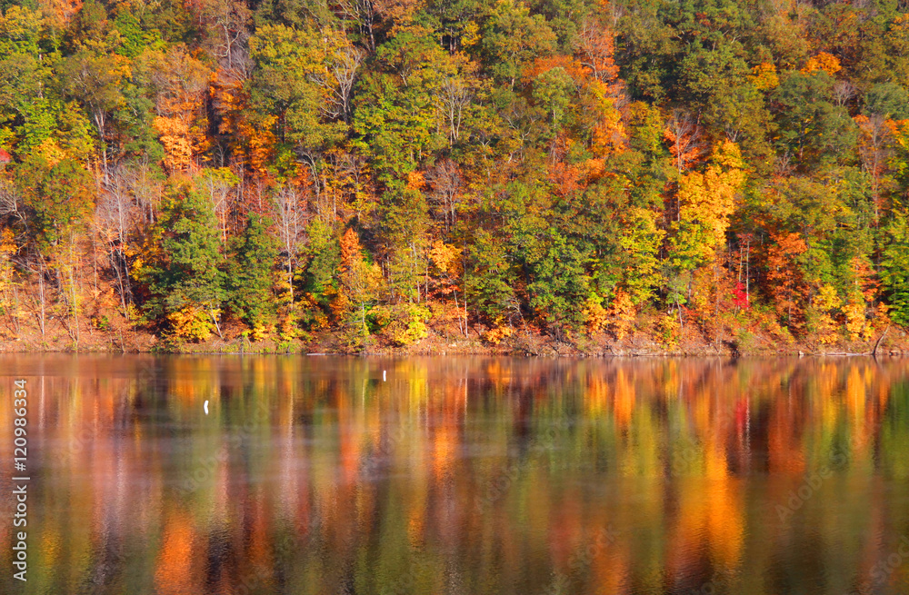 Autumn tree reflections under evening sun light Autumn tree reflections under evening sun light