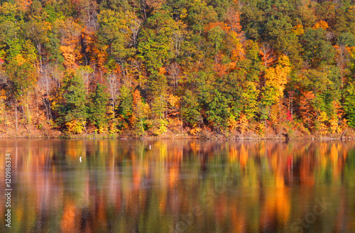 Autumn tree reflections under evening sun light