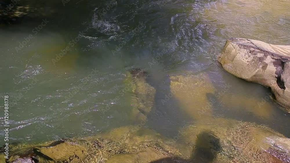Whitewater flowing over rocks in small river in thailand Whitewater flowing over rocks in small river in thailand