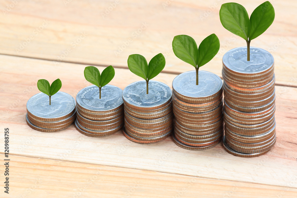 young plant grown to stack silver coin in business growth concep