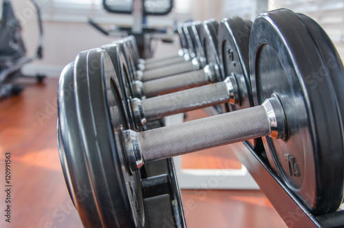 Dumbbells in a row on a rack, fitness in the sport club.