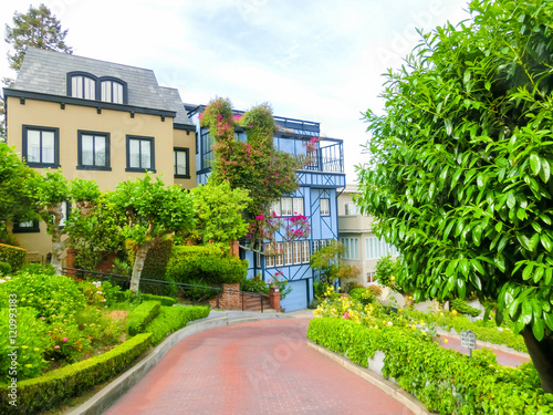 View of Lombard Street in California photo