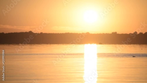 Beautiful lake at sunrise with swimming duck.