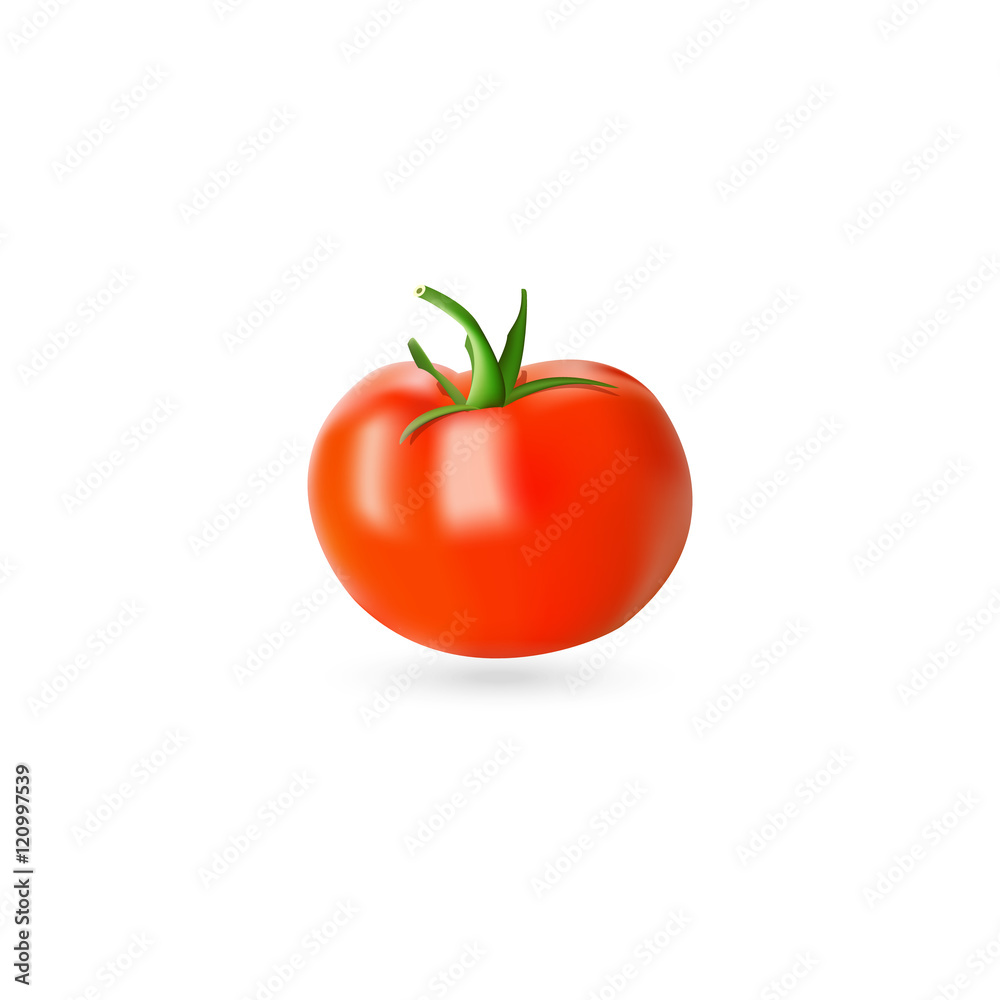 Bright illustration of ripe red tomato isolated on white background. Red tomato icon. Bright illustration of ripe red tomato isolated on white background. Red tomato icon.