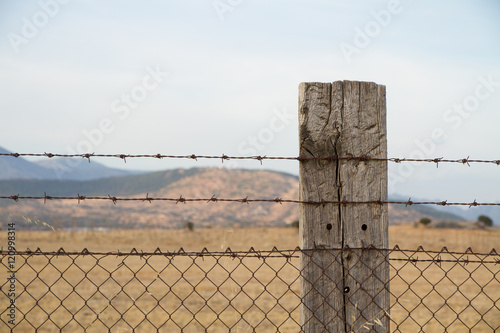 Barbed wire entanglement with wooden post