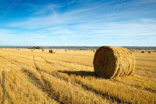 Fototapeta haystack in a field