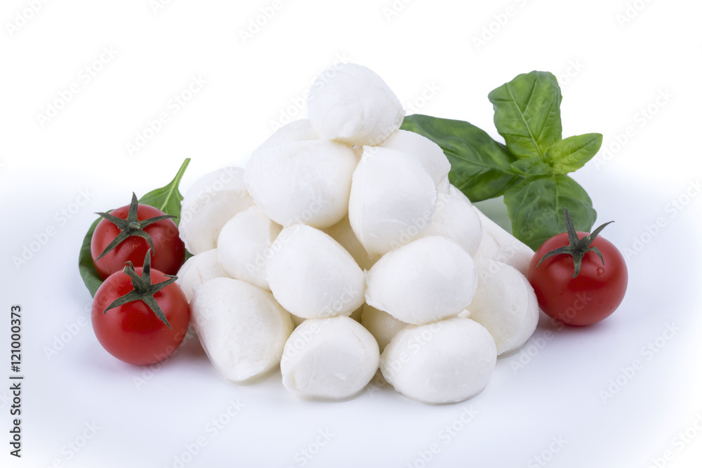 Buffalo mozzarella cheese made from milk Alibovalo on white back Buffalo mozzarella cheese made from milk Alibovalo on white back