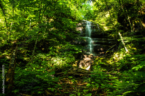 Fototapeta Naklejka Na Ścianę i Meble -  森の中を流れる一筋の滝