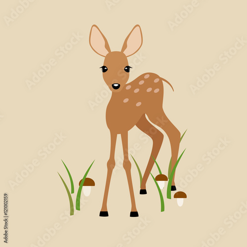 Fawn on a beige background.