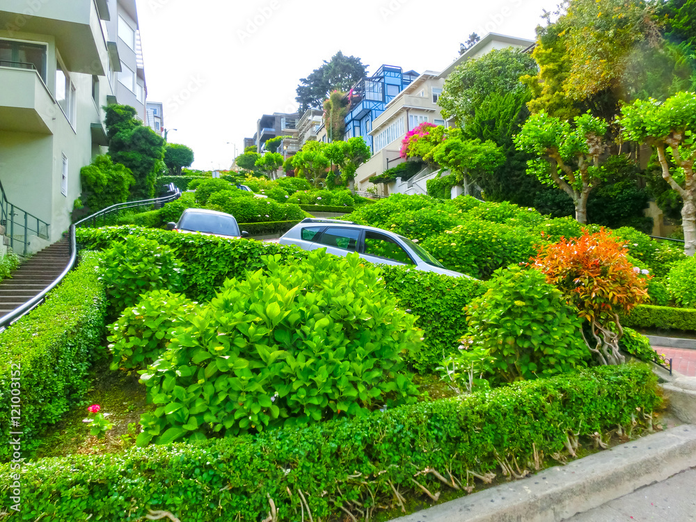 View of Lombard Street in California