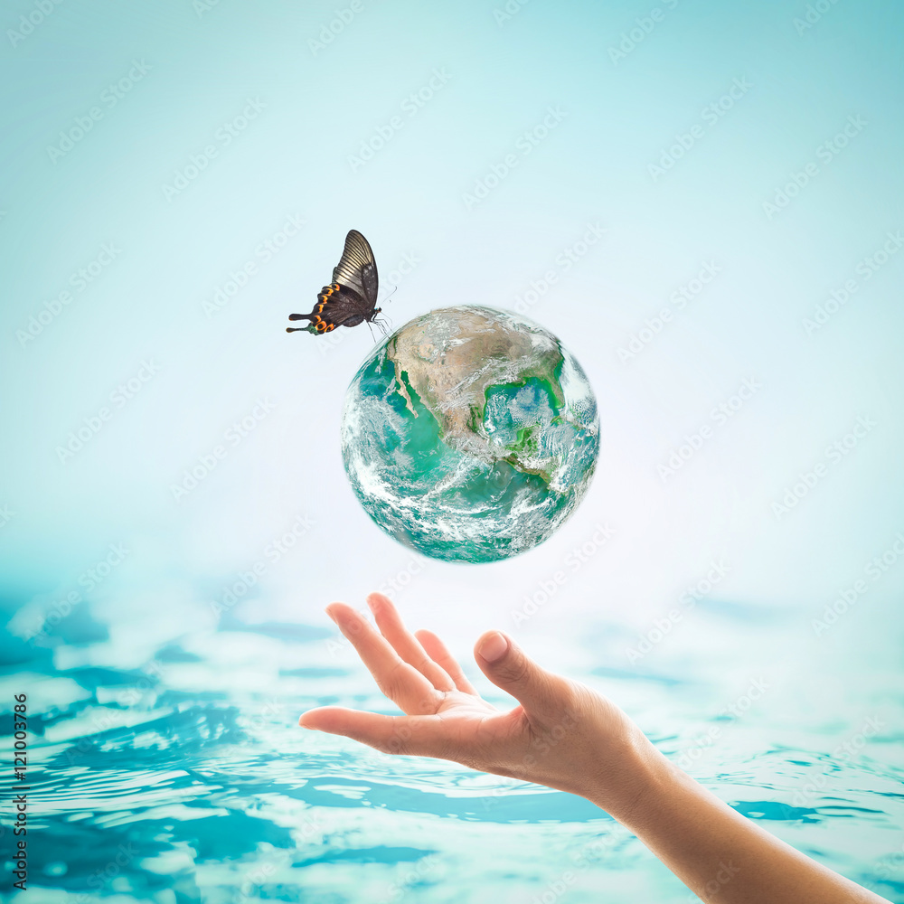 Women's hands holding green planet w/ butterfly drinking potable water ...