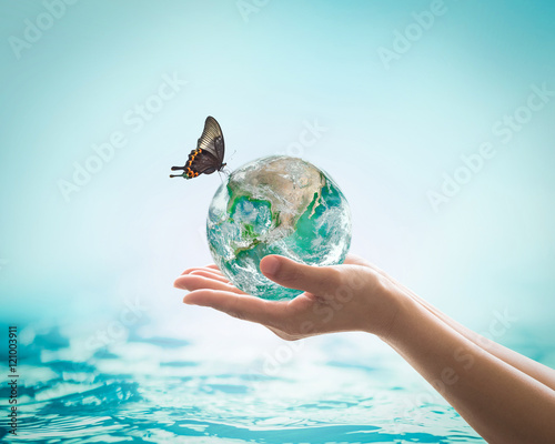 Fototapeta Naklejka Na Ścianę i Meble -  Women's hands holding green planet w/ butterfly drinking potable water from globe on turquoise blue color water background : World ocean day csr esg concept: Element of this image furnished by NASA