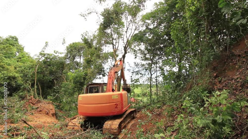 Deforestation of rainforest. Environmental problem jungle cleared for oil palm plantations. Borneo, Malaysia Deforestation of rainforest. Environmental problem jungle cleared for oil palm plantations. Borneo, Malaysia