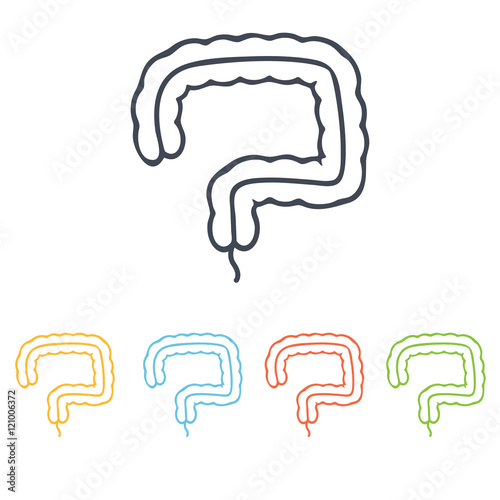 human organs icon