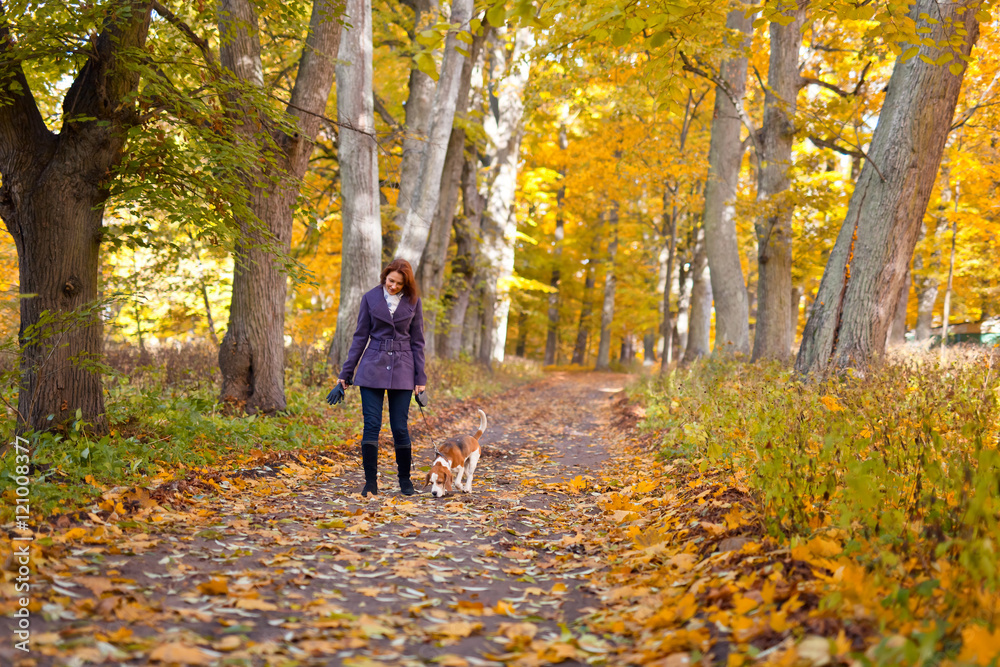 woman with dog in autumn park woman with dog in autumn park