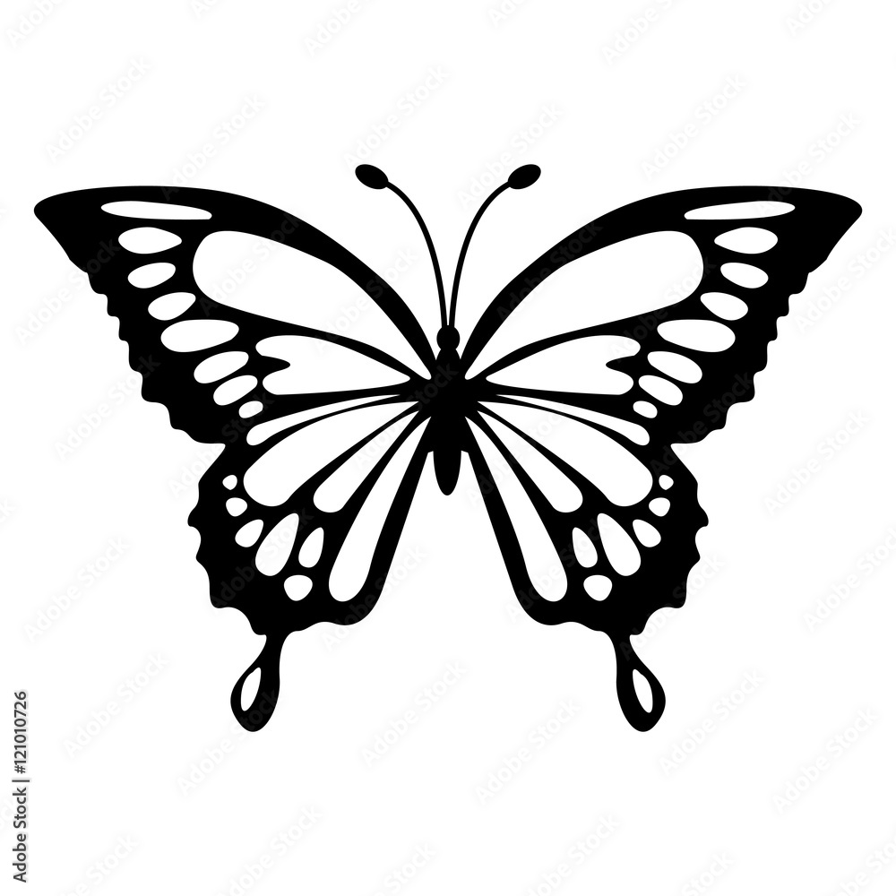 Φωτογραφία Beautiful butterfly, isolated on white background