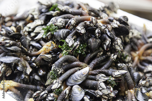 Fresh barnacles in a market photo