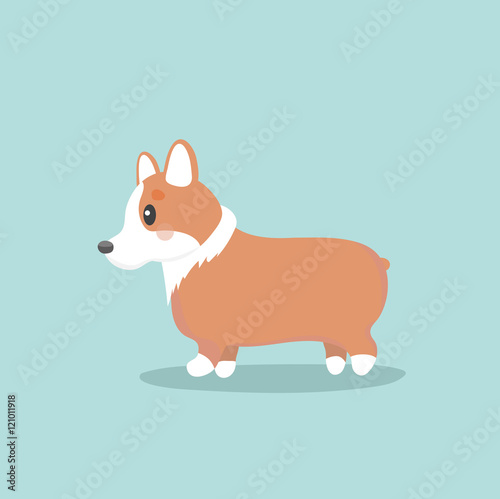 Cute welsh corgi dog vector illustration
