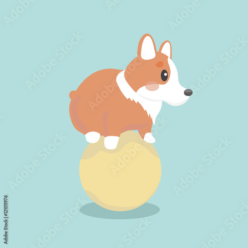Cute welsh corgi dog vector illustration
