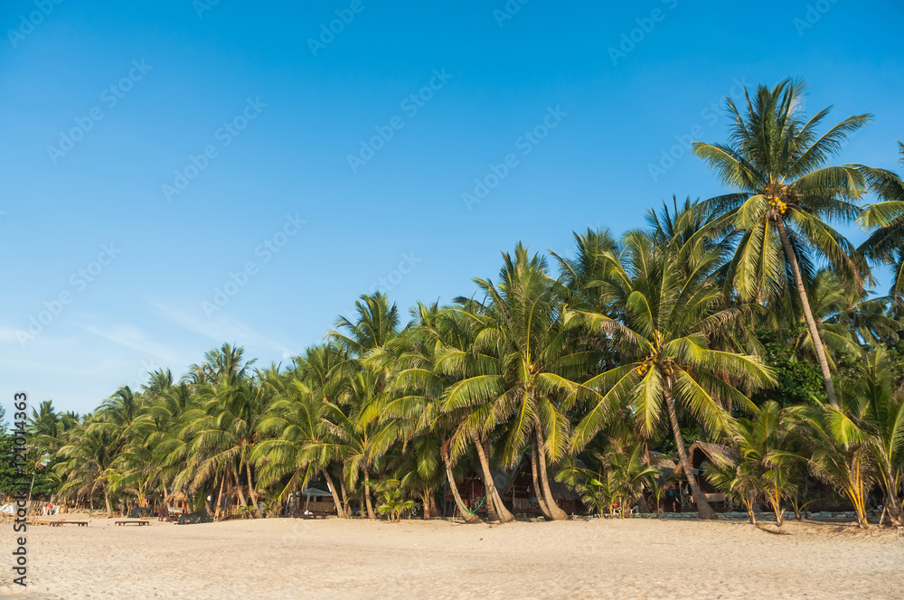 Palms on the beach, Ko Samui island, Thailand