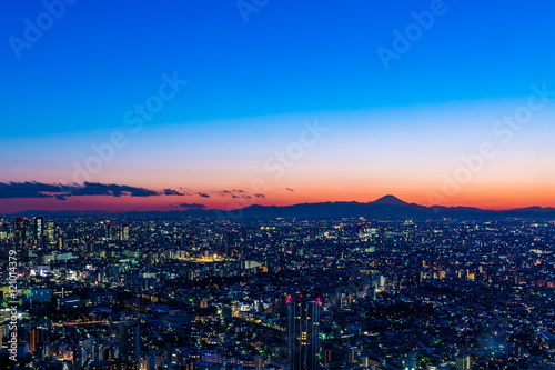 日本・東京都心の夕景・夜景