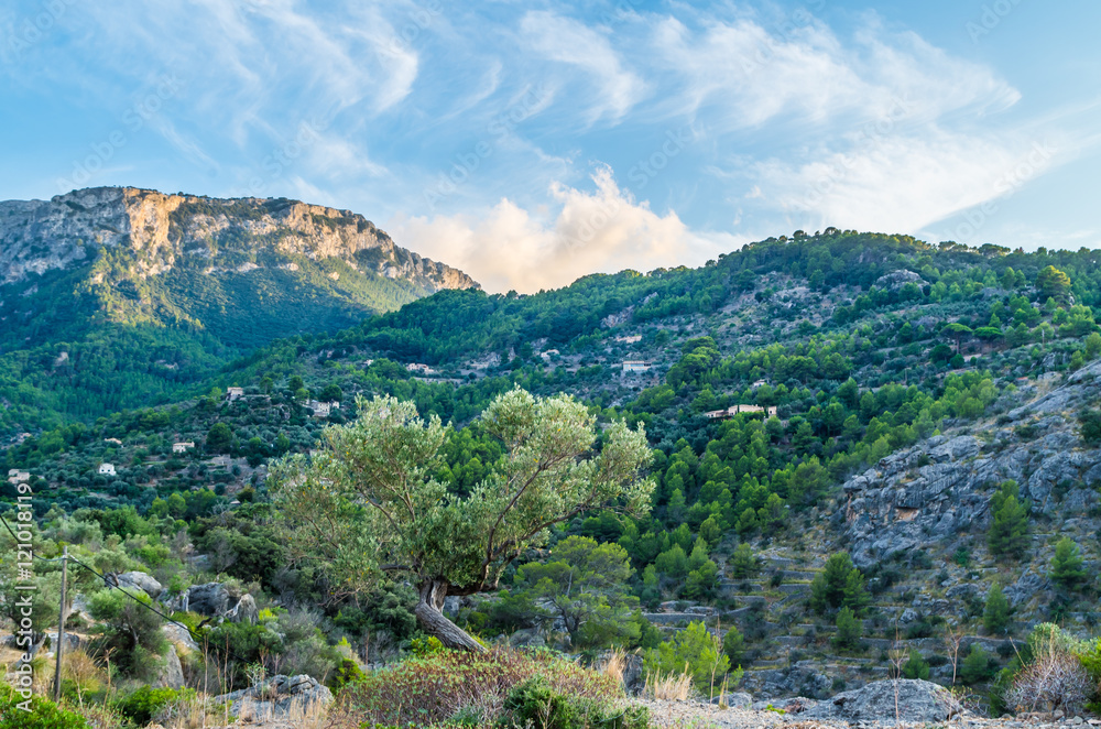 Beautiful panorama of the town Deia on Mallorca, Spain