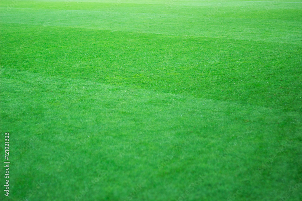 Classical football field photo. Natural green lawn