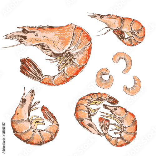 Shrimps