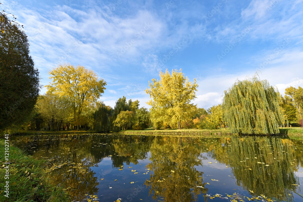 Fantastic autumn landscape with yellow trees near the pond (rest Fantastic autumn landscape with yellow trees near the pond (rest